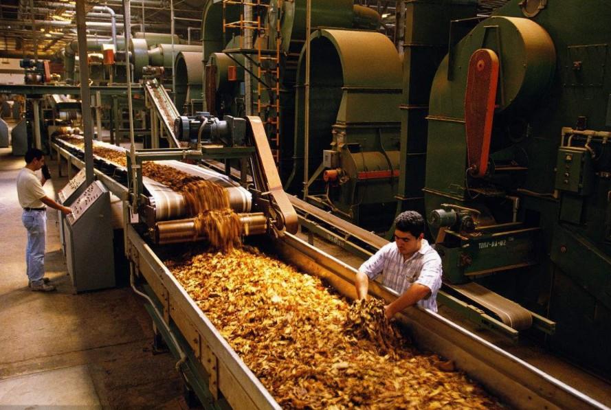 Vegetable Humidifier